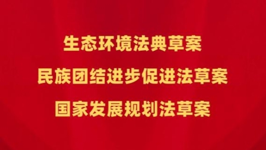 新华鲜报｜三部重要法律案将提请2026年全国人代会审议