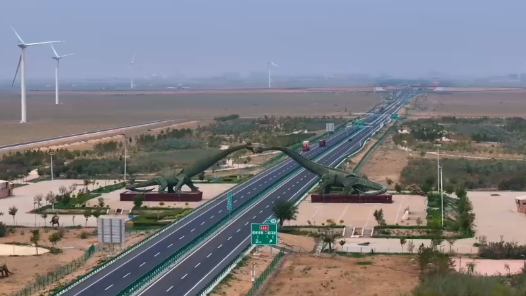 跨越国界的光明誓言