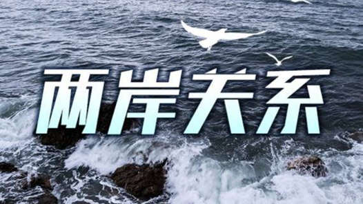 年终报道｜交心交融 共进共赢——两岸交流合作与融合发展年度回眸