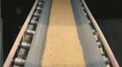 全国秋粮收购超2亿吨 为近年同期最高水平