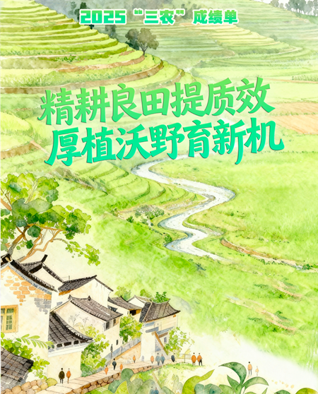 105012025122700011675