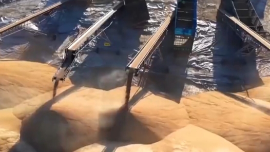 视频｜秋粮购销两旺、“云端电站”投产 一组数据感知中国活力