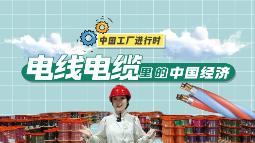 中国工厂进行时｜一根电缆擎起的发展能量
