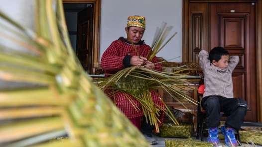 一片藤竹 一个新村——西藏墨脱县巴登村“致富记”