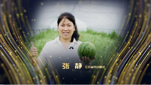 劳模故事·江苏省劳动模范丨张静：以田为卷，种出乡村振兴新图景