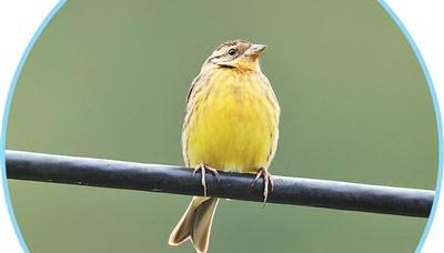 美丽中国｜公安机关侦破一起特大危害珍贵、濒危野生动物案