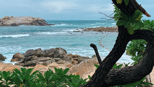 演唱会经济助推三亚文旅升级