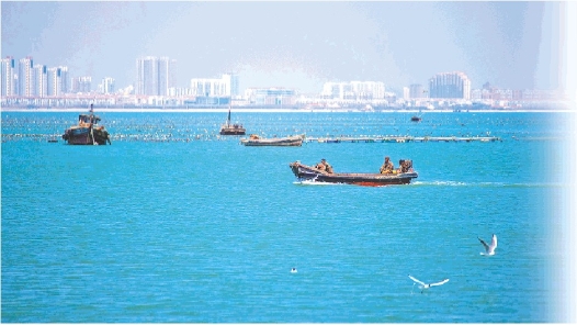 一单牡蛎碳汇的“生态价值账”