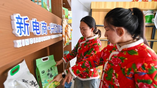 湖北洪湖乌林镇电商销售额突破1.2亿元