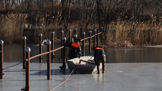 圆明园新生7只鹅宝宝如何安全越冬？秘密藏在这里