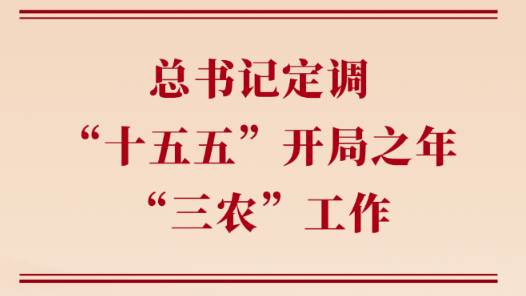 第一观察丨总书记定调“十五五”开局之年“三农”工作