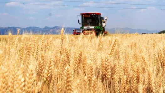 数览中国脉动｜粮稳天下安！“大国粮仓”高位增产