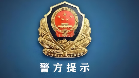 入侵网站盗数据、跨境牟利数十万元！两人被刑拘