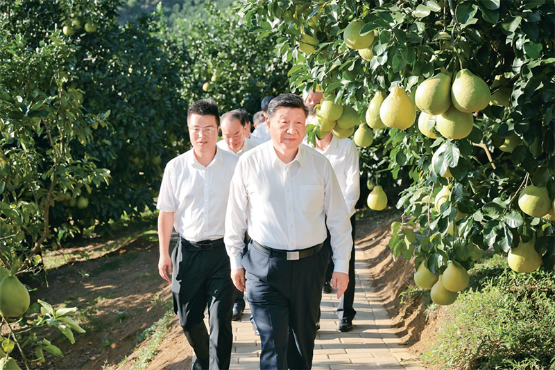 20251231_155550_005 20251231_155550_005