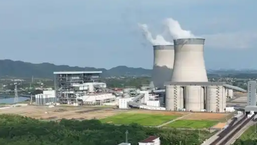 爱的种子在这里发芽开花