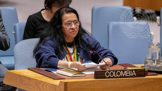 哥伦比亚代表：美对委军事行动动摇战后国际秩序根基