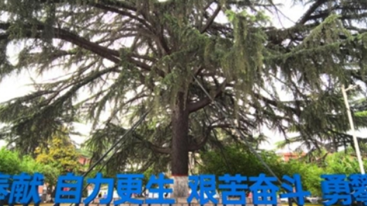 “四维合力”抓实新时代航空报国精神落地