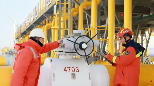 “三管”齐下助振兴，央企担当绘新篇