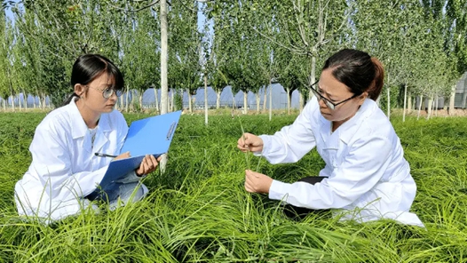 “十四五”我国收集保存林草种质资源14.74万份