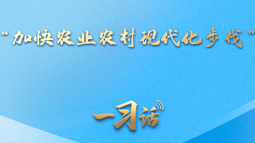一习话·迈向“十五五”｜“加快农业农村现代化步伐”