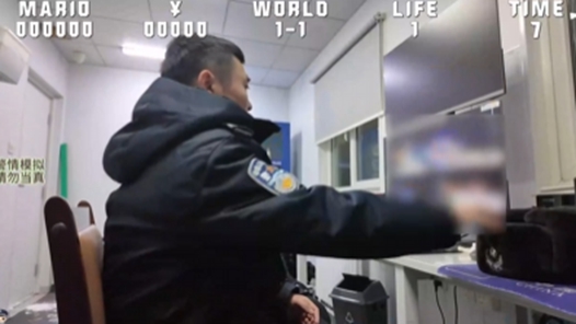 他们可能是打110也找不到的警察