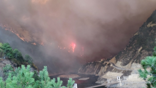 广东汕头突发山火 正全力扑救