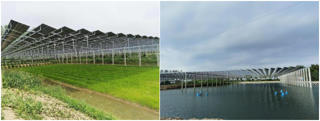 QQ20260112-084628 QQ20260112-084628