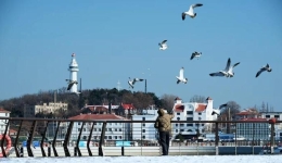 山东半岛北部迎“冷流降雪” 海滨城市引游客赏雪听涛