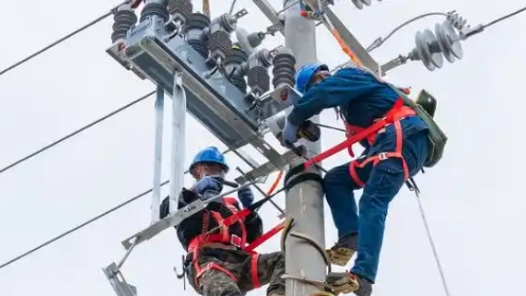 锚定现代化 改革再深化｜113.5%增速的背后——国网宁夏电科院亮出科改“密码”