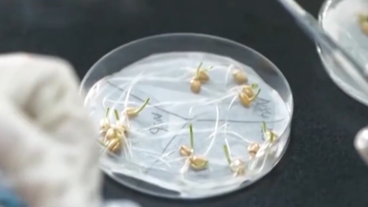 笃信健行，创新赋能 以高质量党建引领高质量发展新实践