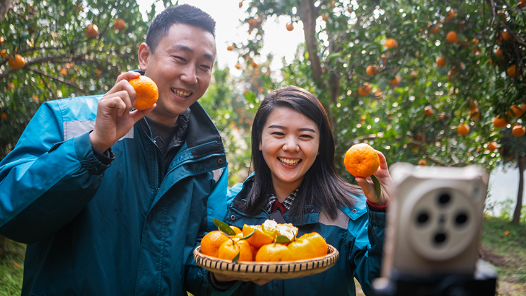 李强在政府工作报告中提出，扎实推进乡村全面振兴