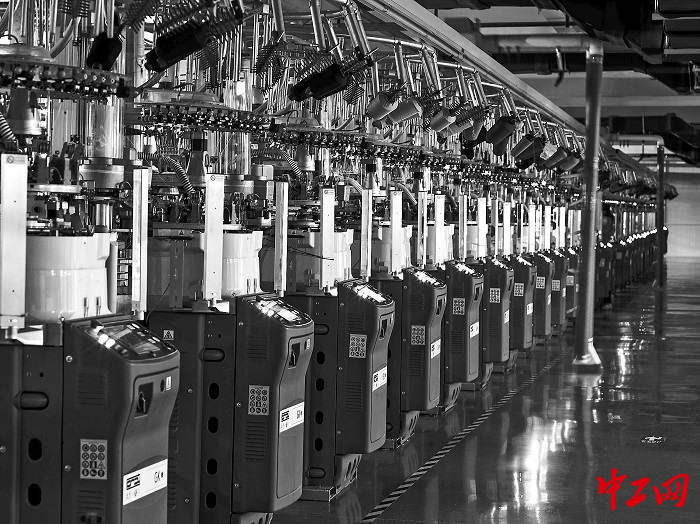 3300244_tpzz_1768806497729_b