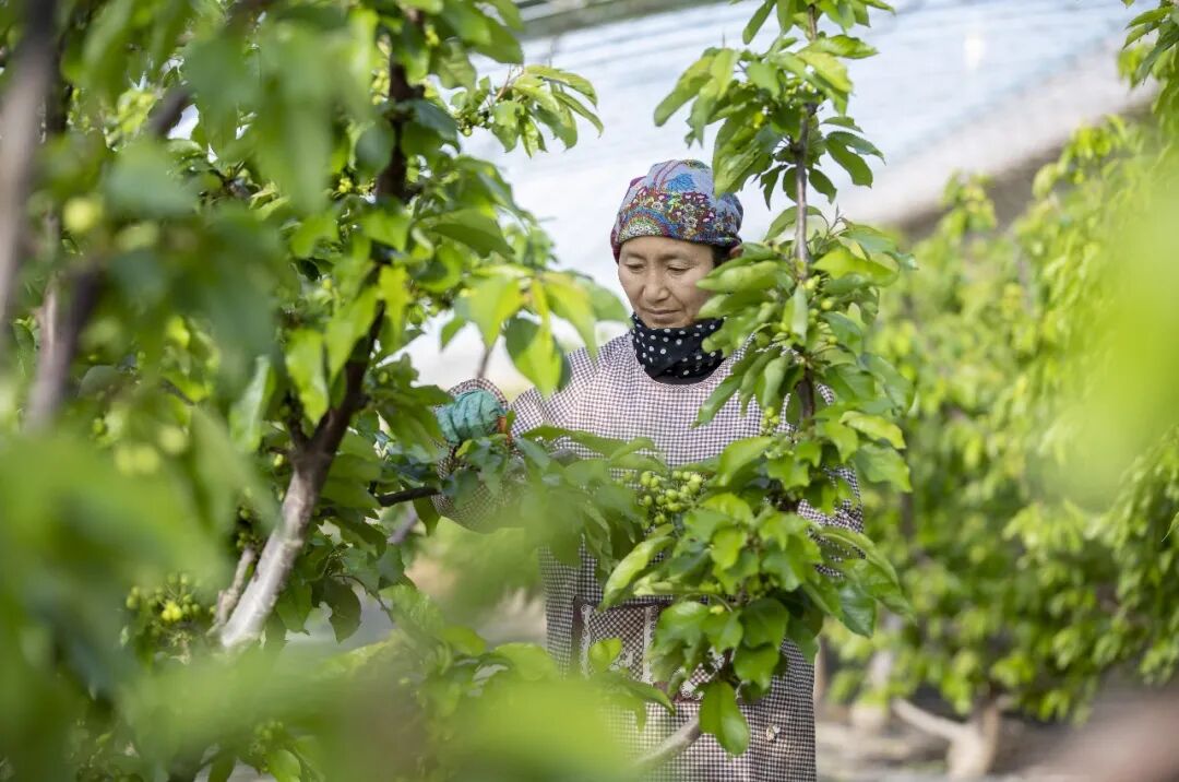 ab770a1cf8da43ca8886d67845b882f3