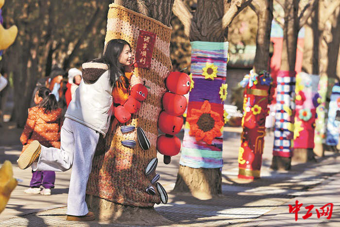 3306333_tpzz_1769152477943_b