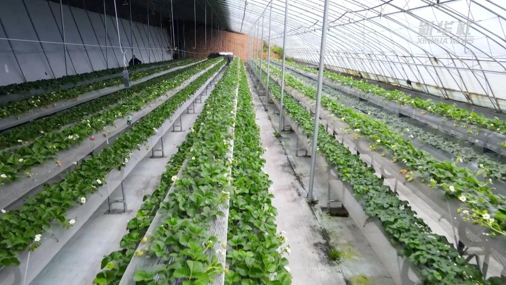 202601274cb1df11fc11420c87c6ec822d640b4c_6416633320694044b425aae008e264ae