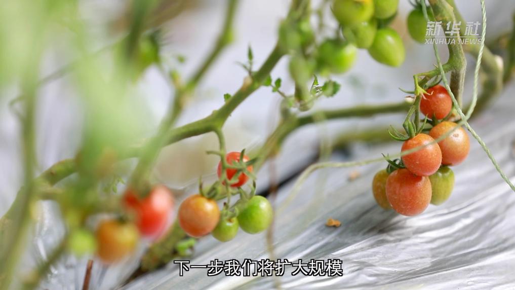 202601274cb1df11fc11420c87c6ec822d640b4c_1385b60da1064a7a93b450d8af76b660