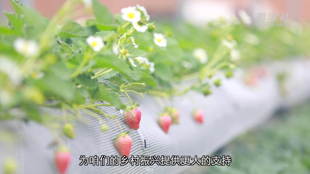 202601274cb1df11fc11420c87c6ec822d640b4c_1afe006b83d5469f84403dd122ffa38c