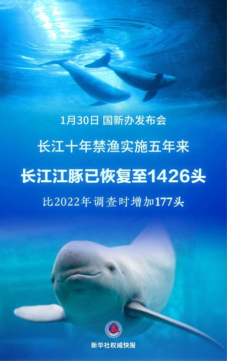 XxjdzbC000013_20260130_CBMFN0A001