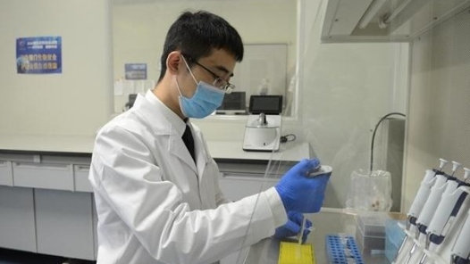 那个曾经怕庄稼生病的少年，成了国门检疫的“把关人”