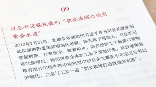 总书记嘱托我们“把全流域打造成黄金水道”