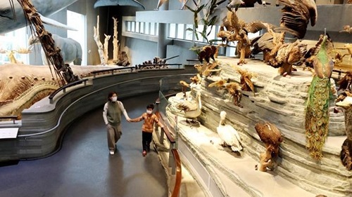 新春走基层｜喜迎“新客”