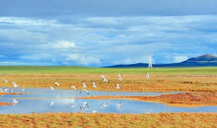 新春走基层·十村十年看长江之变丨青海长江源村：绿水青山不负“守护人”