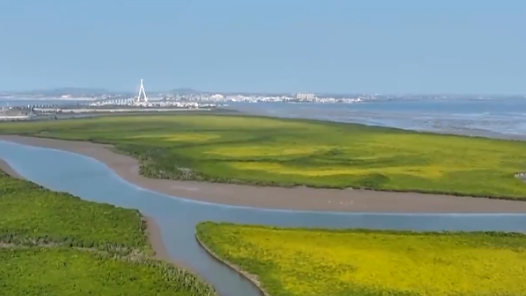 新思想引领新征程丨守护大美湿地 建设美丽中国