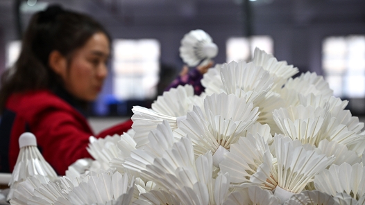 新春走基层｜贵州锦屏：小小羽毛球成就县域大产业