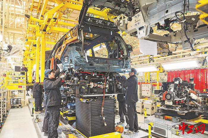 3321383_tpzz_1770215511236_b