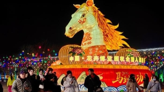 新春走基层｜立春赏灯年味浓 银川花博园灯会引客流连