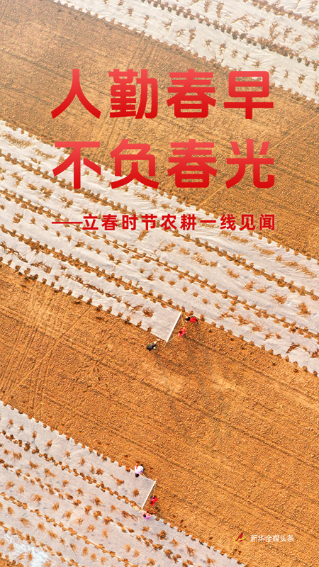 10d45a865b4e450f93c17edda2b9442f