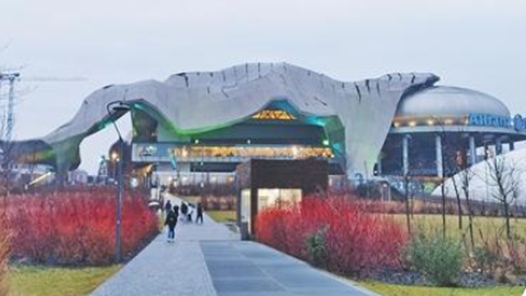 奥运纵横丨感受新与变，续写精彩冰雪故事