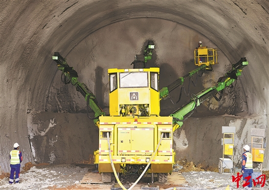 3326572_tpzz_1770562254477_b