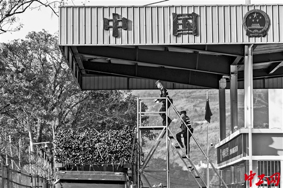 3329951_tpzz_1770800798512_b